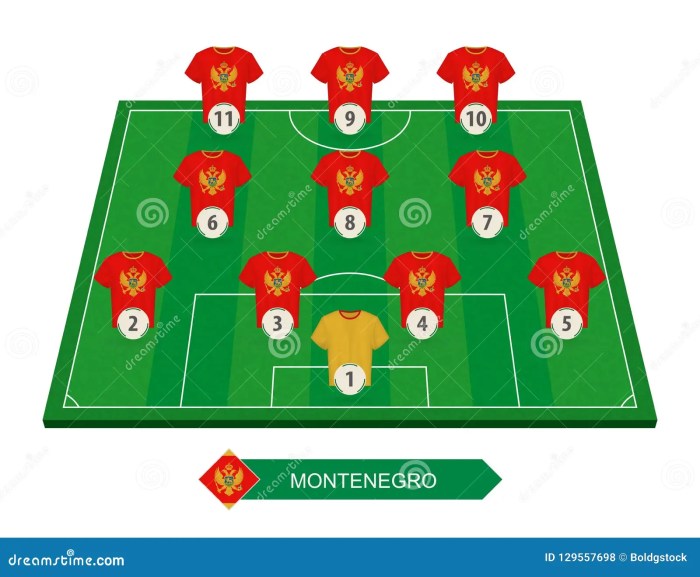 Timnas montenegro