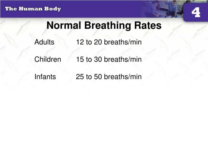 Pernapasan normal pada bayi