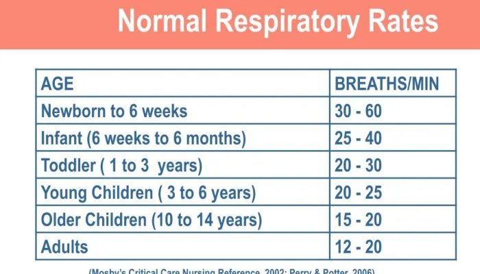 Pernapasan Normal Pada Bayi Panduan Lengkap