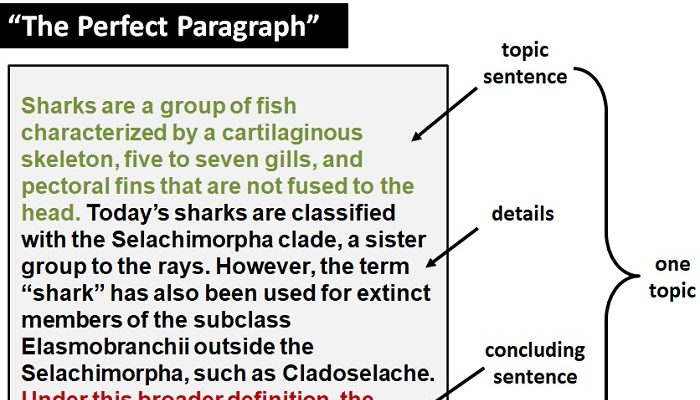 Paragraf Nomor 1 Bagian dari Teks Lebih Besar