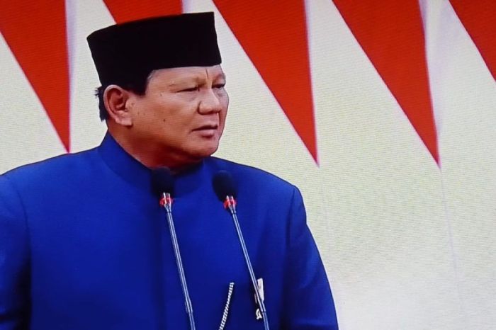 Presiden Prabowo Luncurkan Danantara, Wujud Komitmen