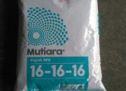 Pupuk Mutiara 16 16 16 Panduan Lengkap