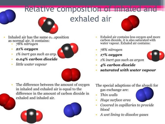 Organ yang berfungsi untuk mengatur suhu udara pernapasan adalah