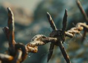 Panduan Lengkap Motor Beat Second