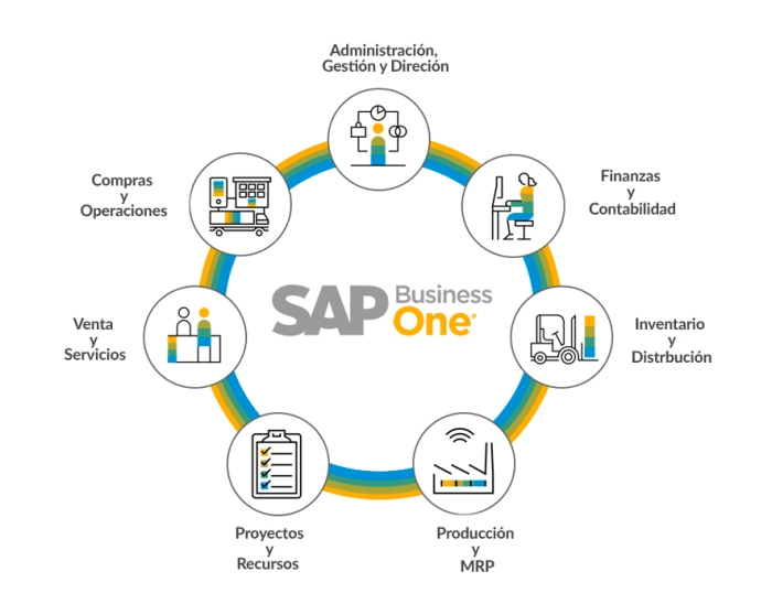Sap business one