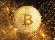 Memahami Bitcoin Gold Secara Lengkap