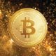 Bitcoin crypto gold money bitcoins currency wallpaper yellow tree pxhere stock deciduous maidenhair leaf autumn treasure computer metal