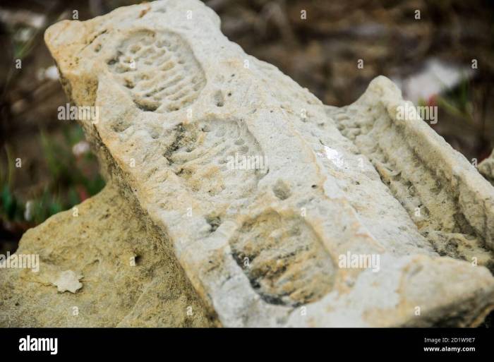 Sejarah kejayaan dan berdirinya Kerajaan Aceh Darussalam: tokoh penting, pemerintahan, dan perkembangannya