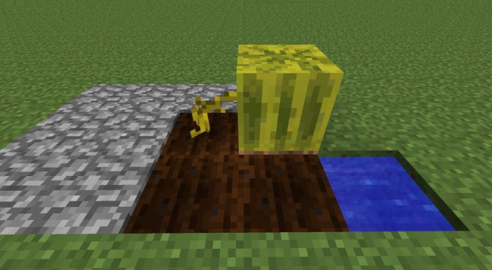 Make mine grow com