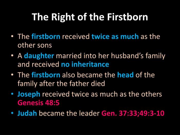 Birthright firstborn sell don genesis ppt powerpoint presentation