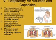 Jumlah maksimum udara yang dapat keluar masuk sistem pernapasan dinamakan kapasitas paru total