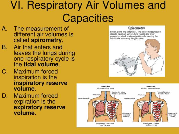 Jumlah maksimum udara yang dapat keluar masuk sistem pernapasan dinamakan