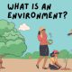 Pengertian lingkungan