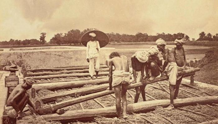 Sistem Tanam Paksa di Indonesia Sejarah, Dampak, dan Pemerintahannya