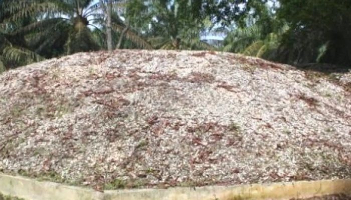 Informasi Lengkap tentang Kota Aceh Tamiang dan Perkembangannya