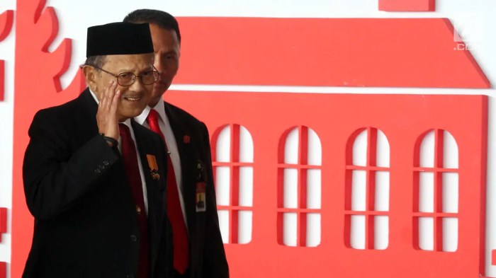 Program reformasi ekonomi BJ Habibie untuk Indonesia