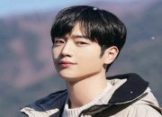 Perbandingan Peran Seo Kang Joon di Drama Undercover