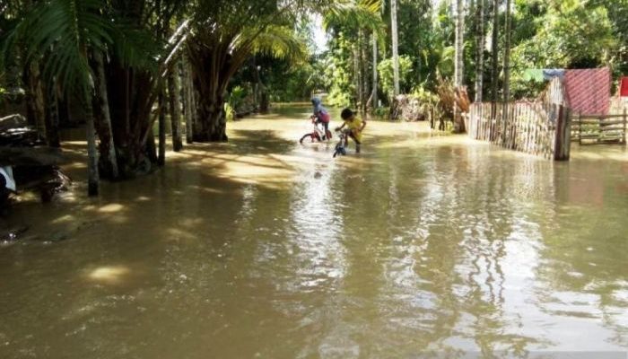 Banjir Aceh Barat Selatan Penyebab dan Solusi BMKG