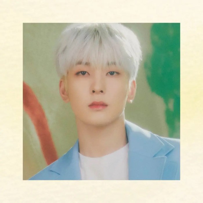 Perbandingan kasus wajib militer idol KPop lainnya dengan Wonwoo