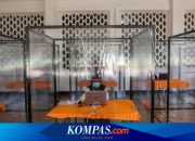 Dampak Penundaan CPNS dan PPPK pada Pelamar