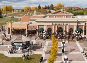 Pertemuan Langka Manusia dan Lynx di Calgary