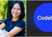 Sikap Desmond Lim pada Boikot Codeblu