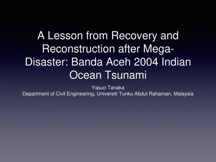 Dampak tsunami Aceh 2004 dan upaya rekonstruksi pasca bencana