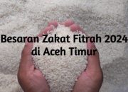 Perbedaan Zakat Fitrah Uang dan Beras 2025