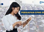 Persyaratan dan Dokumen NIP CPNS 2024