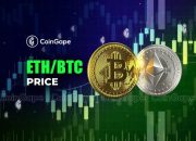 Strategi Investasi Coinbase & Dukungan Bitcoin