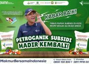 Pengalaman Pribadi Terkait Lirik Lagu Berjalan Tanpamu Nabila Taqiyyah