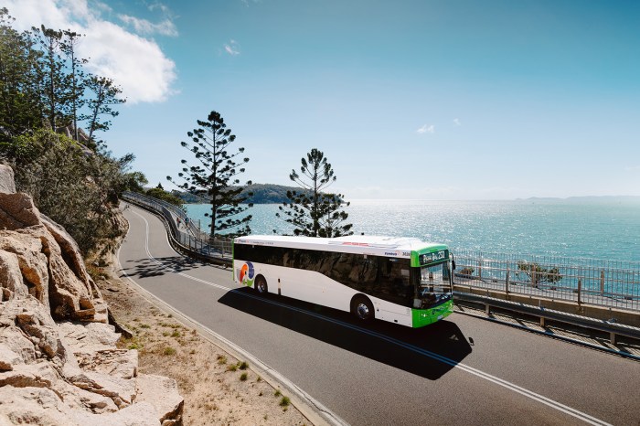 Informasi terkini siklon tropis Alfred dan penutupan sekolah