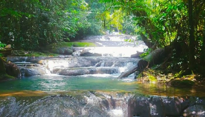 Menjelajahi Aceh Tamiang Wisata dan Atraksi Menarik