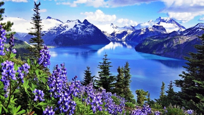 Cara mendapatkan imsakiyah ramadhan aceh yang akurat