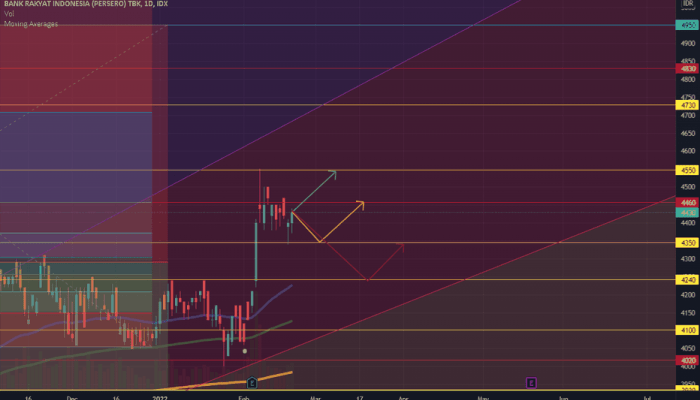 Prediksi Harga Saham BRI BBRI Satu Tahun Ke Depan