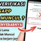 Mengapa saya tidak menerima kode verifikasi melalui sms