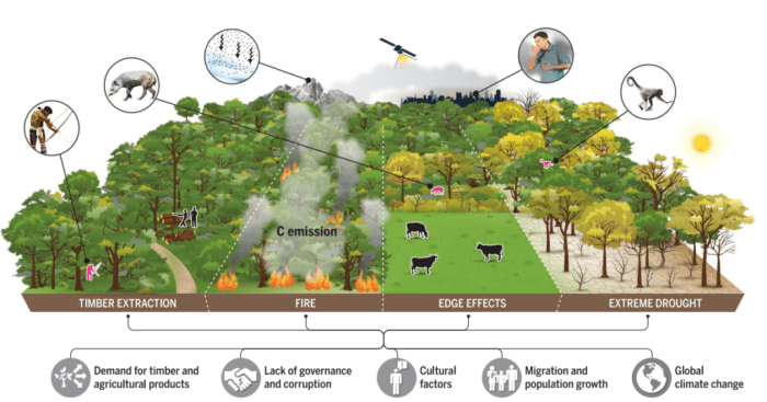 Ancaman degradasi St Pauli dan jalan keluarnya