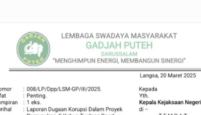 Terindikasi Merugikan Keuangan Negara, PTPN IV Regional 6 Dilaporkan ke Kejaksaan Negeri Langsa