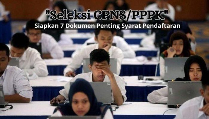 Proses Pengangkatan CPNS dan PPPK Setelah Seleksi