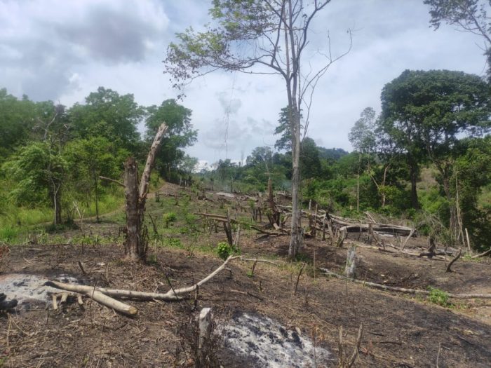 Wilayah aceh yang diguyur hujan ringan 7 maret 2025