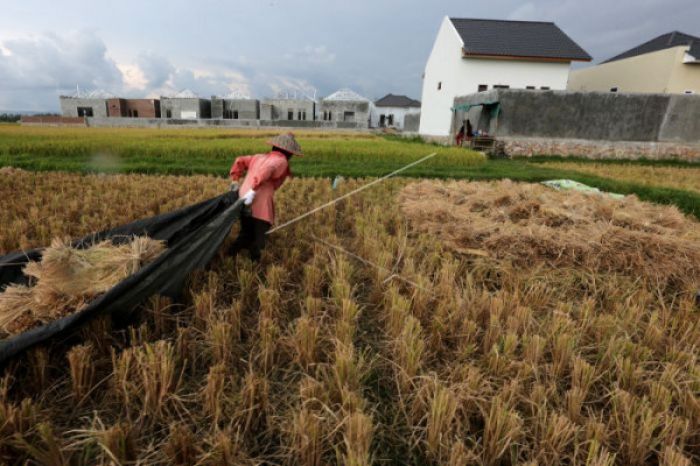 Harga komoditas pertanian utama di Aceh dan pengaruhnya terhadap perekonomian petani