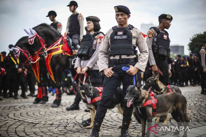 Respon polisi terhadap penampakan kucing besar di Inggris Raya