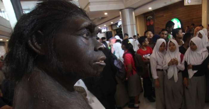 Makna penemuan Meganthropus Paleojavanicus bagi sejarah Indonesia