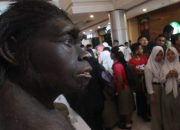 Arti Meganthropus Paleojavanicus dan Penemunya Von Koenigswald