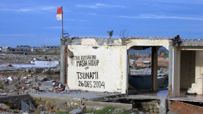 Dampak tsunami Aceh 2004 dan upaya rekonstruksi pasca bencana