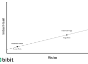 Risiko Investasi Pi Coin dan Bagaimana Mengatasinya