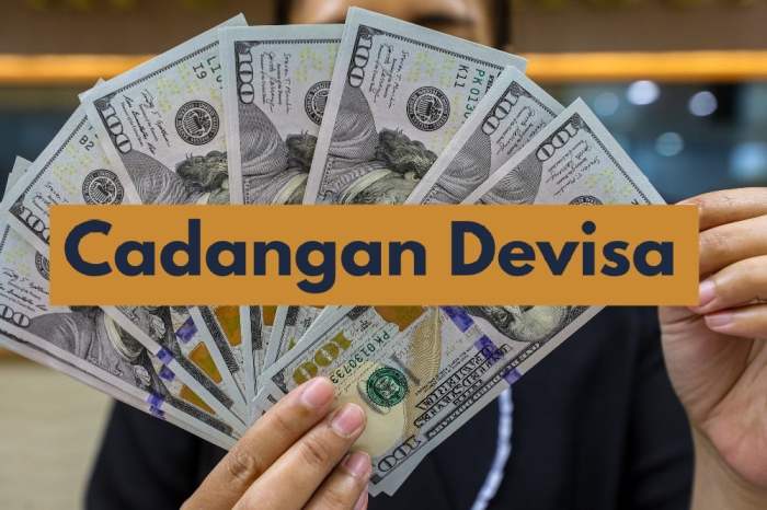 Perbandingan cadangan devisa Indonesia dengan negara-negara ASEAN lainnya di Februari 2024