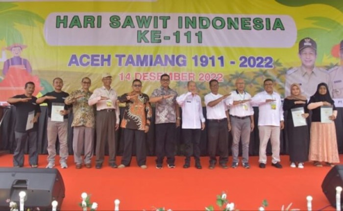 Aceh peta tamiang kabupaten