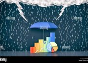 Strategi Investasi Aman di Tengah Capital Flight Danareksa