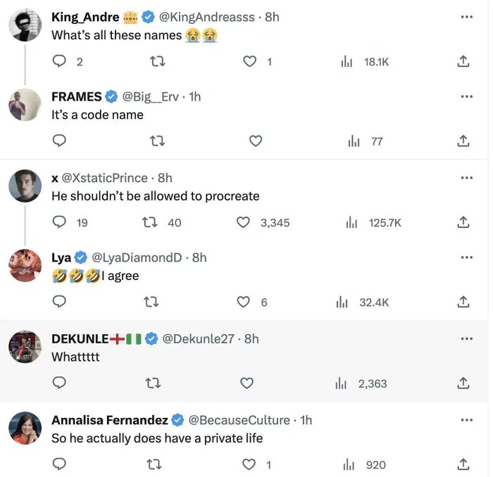 Reaksi publik terhadap kelahiran anak ke-14 Elon Musk bernama Seldon Lycurgus